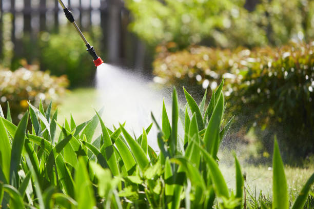 24/7 Emergency Mosquito Control experts in Wayne, MI
