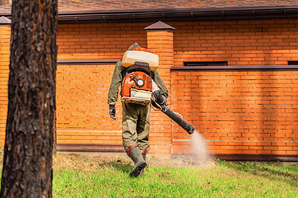 Top rated local Mosquito Control specialists in Wayne, MI